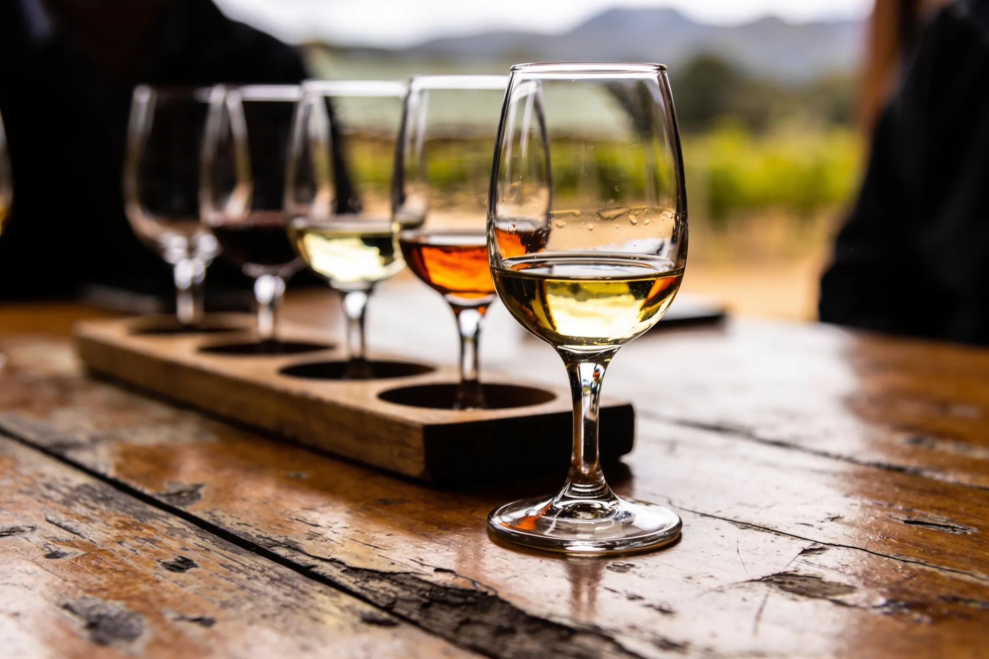 Photo — A wine tasting