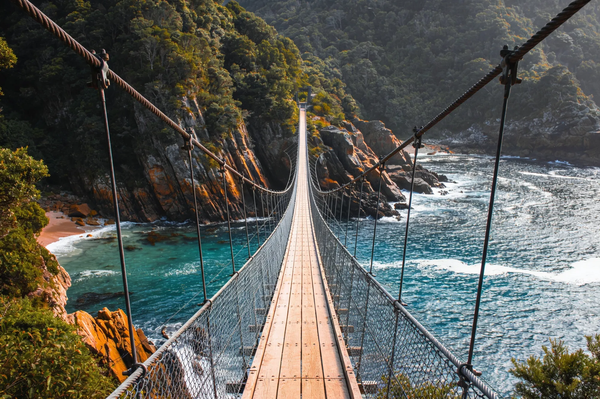 Photo — The suspension bridge over the mouth