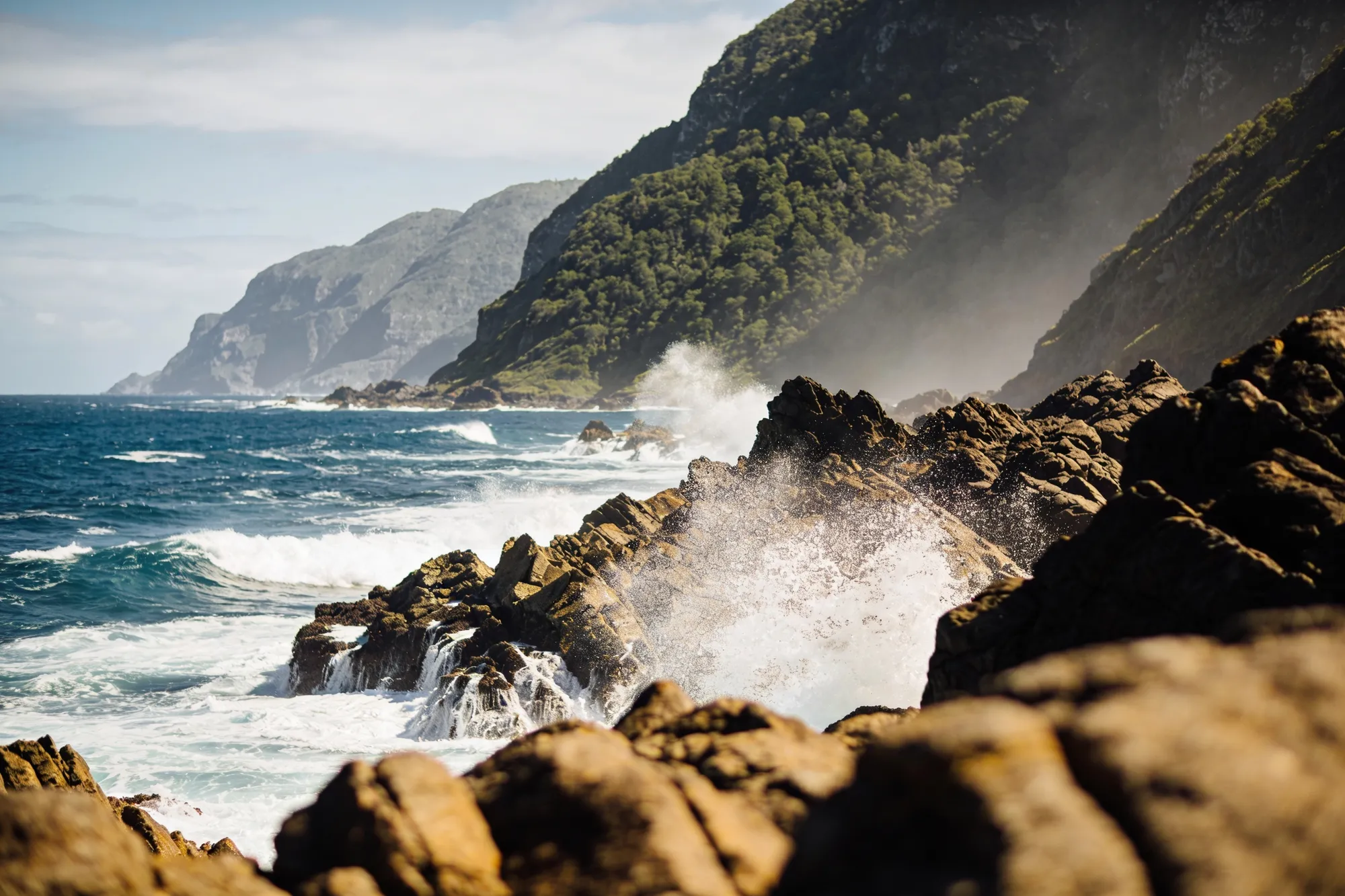 Photo — The Tsitsikamma coastline