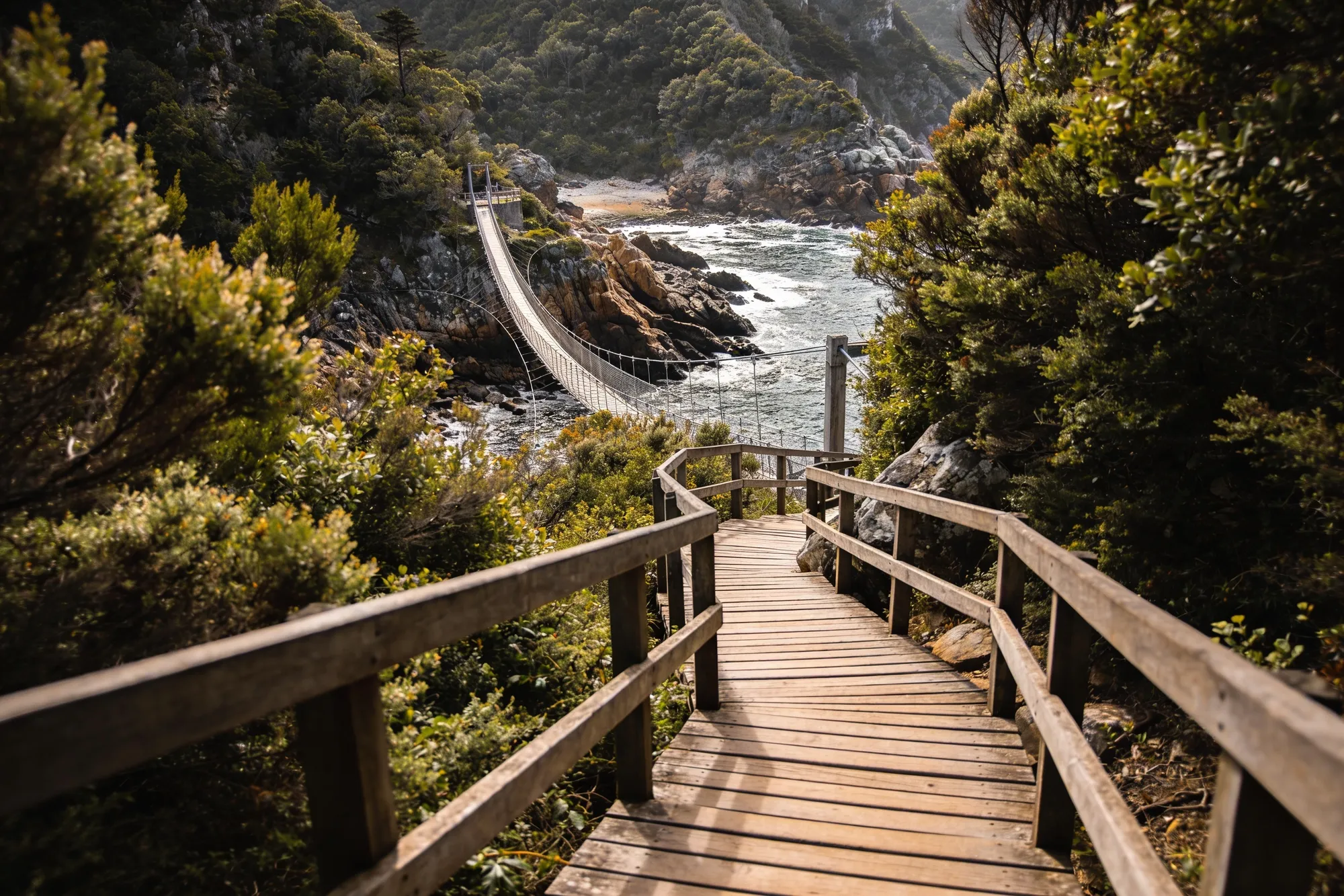 Storms River Mouth and the forest walks