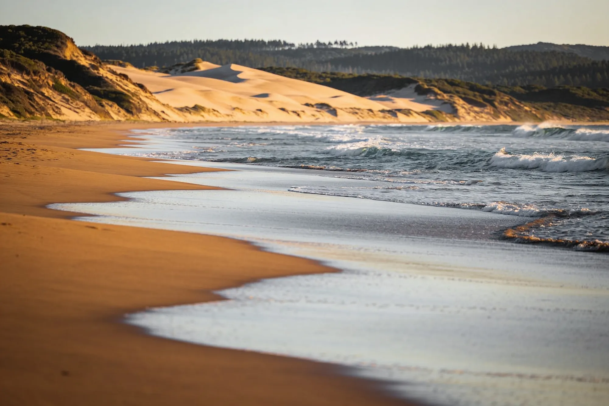 Photo — Wilderness beach and the railway bridge